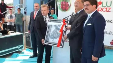 Afyonkarahisar'dan Çin'e kiraz ihracatı