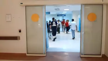 Siirt'te yılanın ısırdığı adam tedavi altına alındı