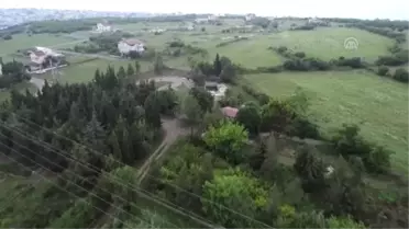 Yıllarca emek verip kıraç alanı 'botanik park' yaptı - SAMSUN
