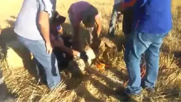 Kuyuya düşen oğlak, kurtarıldı