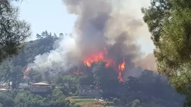 Manavgat'ta orman yangını (1)