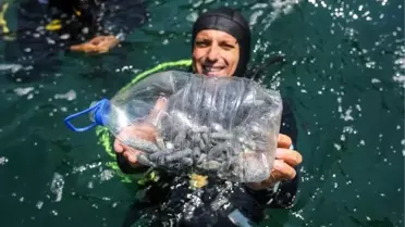 Falezlerde deniz dibinde kurşun tehdidi