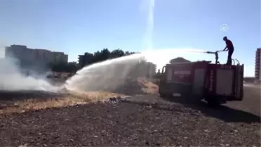 'Anız yakmak, toprağın gücünü yakmak demektir' - ŞANLIURFA