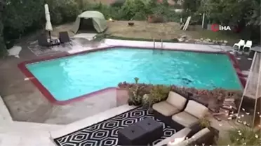 California'da Artçı Sarsıntılar Devam Ediyor