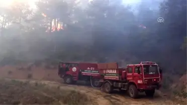 'Orman yangınlarının yüzde 80'i insanlardan kaynaklı'