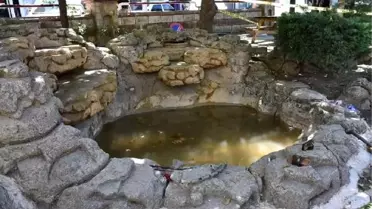 Süs havuzunda akıma kapılan Yağmur'un durumu kritik