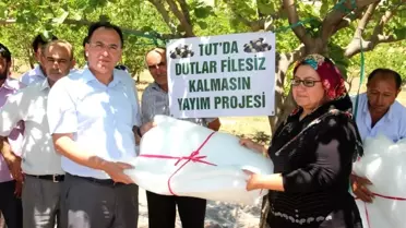 Dut üreticilerine dut filesi