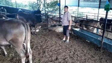 Hayvan yetiştiricileri fiyatlardan dertli