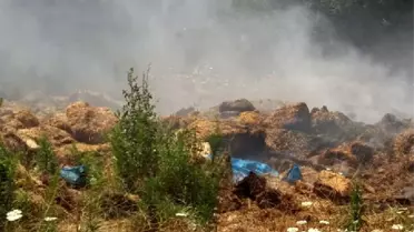 Pazaryeri'nde samanlar alev alev yandı