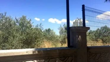 Mezarlığın duvar çitlerini çaldılar