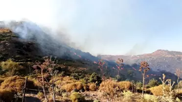 Orman Genel Müdürlüğünden Muğla yangınına ilişkin iddialara cevap