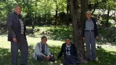 5 kardeş, kıraç toprakları ormana çevirdi