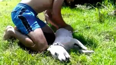 Boğulan köpeğini kurtaramadı