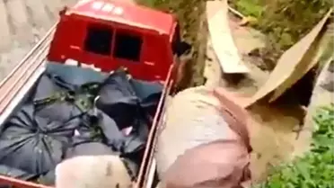 Rizeli'nin topladığı çayı kamyona yüklemek için bulduğu yöntem güldürdü