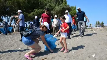 Kazanlı sahilinde carettaların yuvalama alanı temizlendi