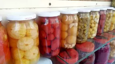 Kozalağın turşusunu kurdu