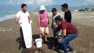 Kumluca sahilinde yaralı caretta caretta bulundu