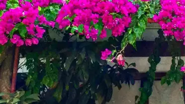Bodrum Bodrum… Seninle de olmuyor sensiz de…