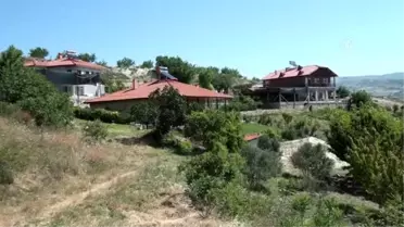 'Ekolojik Hayat Çiftliği'nde organik tarımı öğreniyorlar