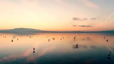 Gediz Deltası'ndan UNESCO'ya çağrı: Nesli tükenecek canlılar mirasımız, korumalıyız
