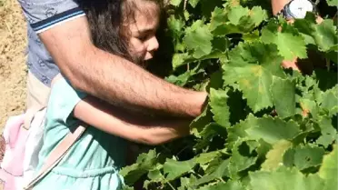 Bozcaada Bağbozumu Günleri etkinliği