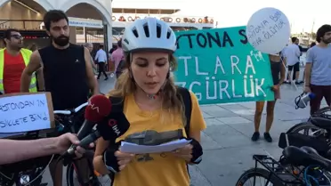 Kadıköy Adalar İskelesinde atlar için bisikletli eylem