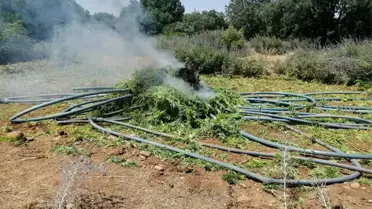 PKK terör örgütünün finans kaynağına dev operasyon