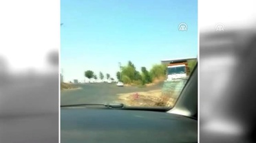 Barınaktaki köpeklerin bakımsızlıktan öldüğü iddiası