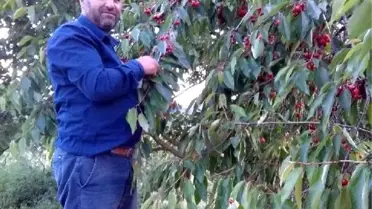 Mahalle meydanında 'tarla' kavgası: 1 ölü, 1 yaralı