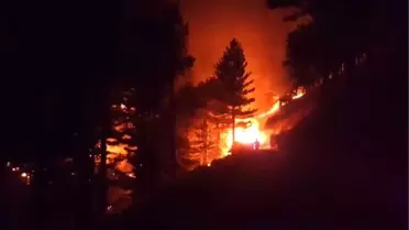 Adana'da orman yangını