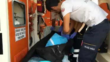 Kaldırıma bırakılan ayakkabı kutusundan 3 günlük bebek cesedi çıktı