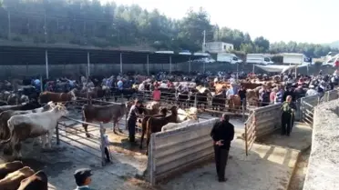 Boyabat Belediyesinden kurban tedbirleri
