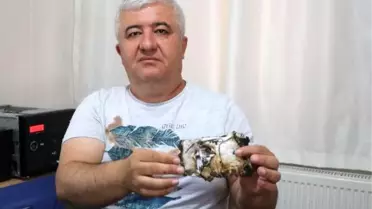 Taşınabilir şarj cihazı bomba gibi patladı