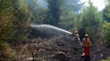 Antalya'da orman yangını, 1 hektar orman zarar gördü