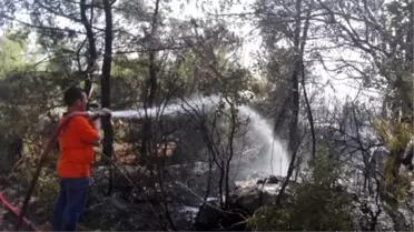 Antalya'da orman yangını: 3 hektarlık alan yandı