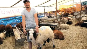 Bayraklı'da Kurban Bayramı hazırlıkları tamam