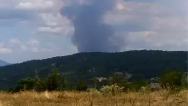 Boyabat'taki orman yangını 2 saatte söndürüldü