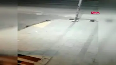 İSTANBUL- KÜMESE DADANAN SOKAK KÖPEĞİ KAMERADA