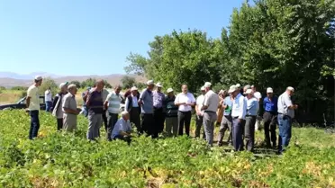 Kuru fasulye çeşidinin demonstrasyonu tarla günü etkinliği