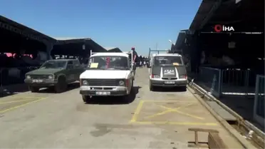 Canlı hayvan pazarında yaşam