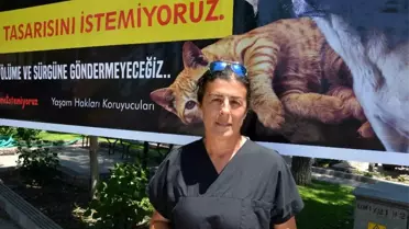 HAYDOS Başkanı Dağdelen uyardı; '600'e yakın köpek sokakta kalır'