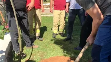 AK Partili Dağ, ıhlamur ağacı dikti