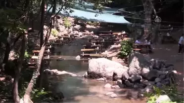 Kent Ormanı'na turist ilgisi