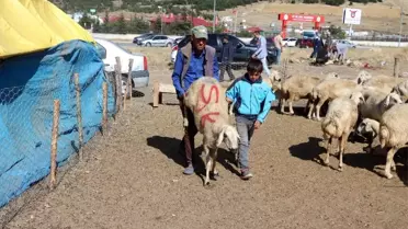 Yozgat'ta kurban satışları birinci gün de devam etti