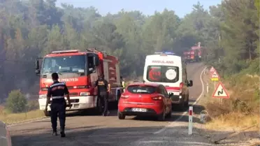 Urla'da orman yangını (3)