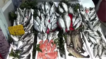 Balıkçıların gözü av yasağının kalkacağı 1 Eylül'de