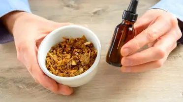 Anadolu propolisinin beslenmeye etkisi