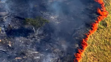 NASA, Amazon yangınlarını uzaydan görüntüledi