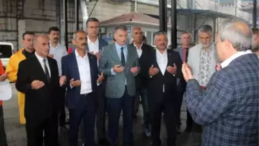 TMO'nun Ordu'da fındık alımı başladı