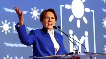 Devlet Bahçeli'nin çağrısı üzerine 19 kişi İYİ Parti'den istifa etti